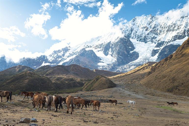 Atemberaubliche Ausblicke auf den Salkantay Trek