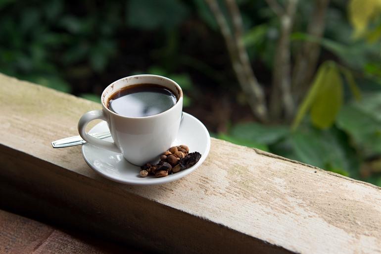 Kosten Sie den Kopi Luwak auf einer tierfreundlichen Plantage