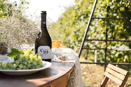 Prosecco-Weinprobe mit regionalen Snacks buchen