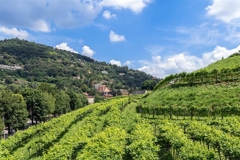 Pusterla-Weinberg, Brescia