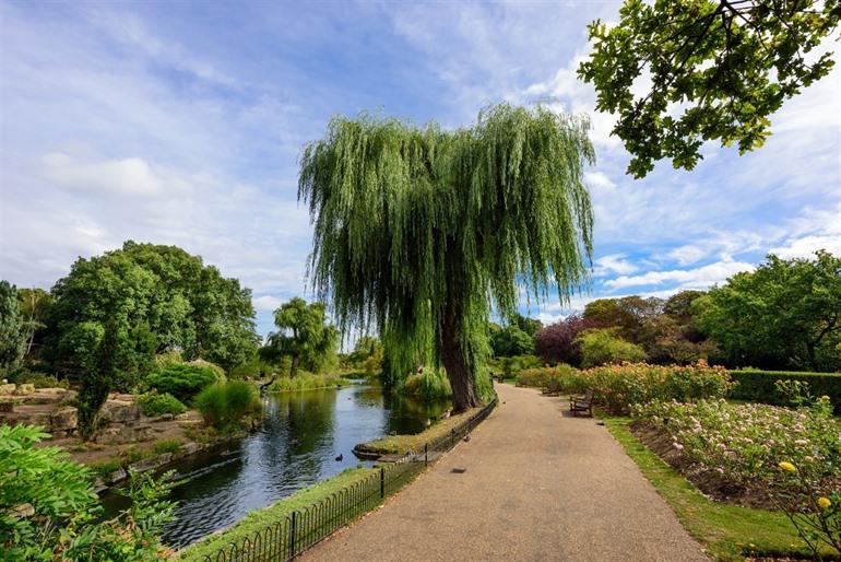 Regent's Park