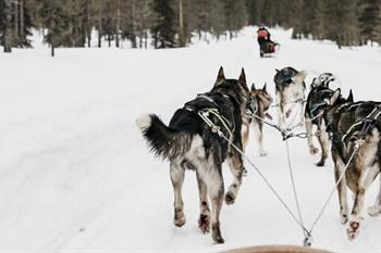 Reise nach Finnisch-Lappland