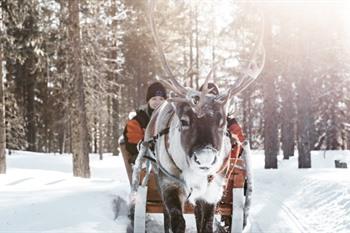Reise nach Finnisch-Lappland