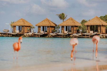 Renaissance Wind Creek Aruba Resort buchen
