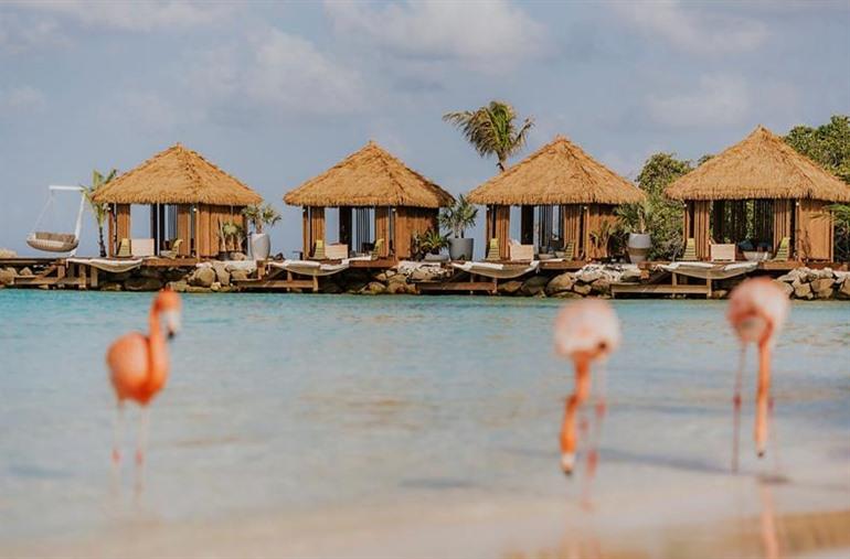 Renaissance Wind Creek Aruba Resort buchen