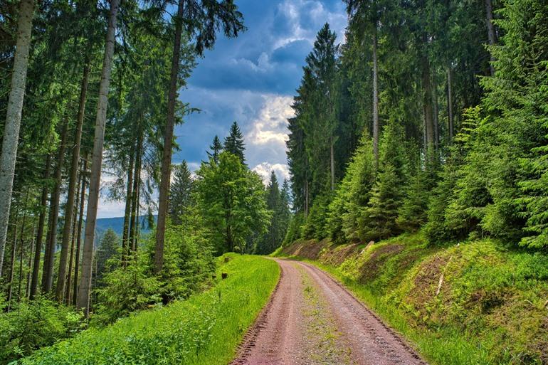 Wanderung auf dem Rennsteig, Thüringen