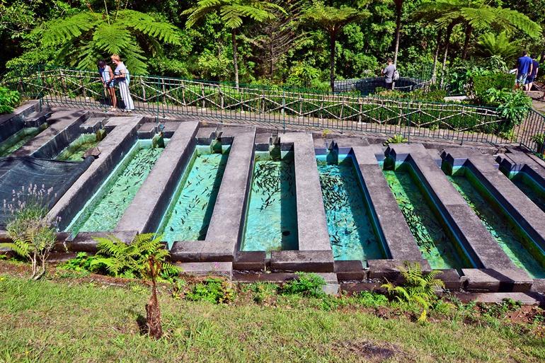 Ribeiro Frio, Madeira