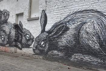 ROA Street-Art Kaninchen in Gent