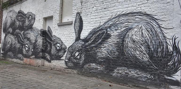 ROA Street-Art Kaninchen in Gent