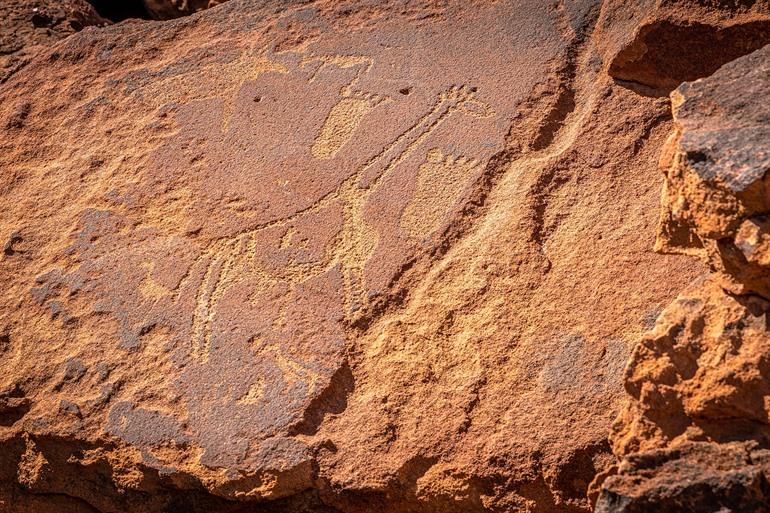 Geführte Tour zu den Felszeichnungen von Twyfelfontein