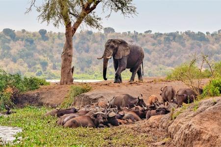Rundreise durch Uganda