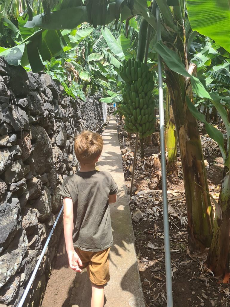 Bananenroute RB2 Wanderung auf Madeira