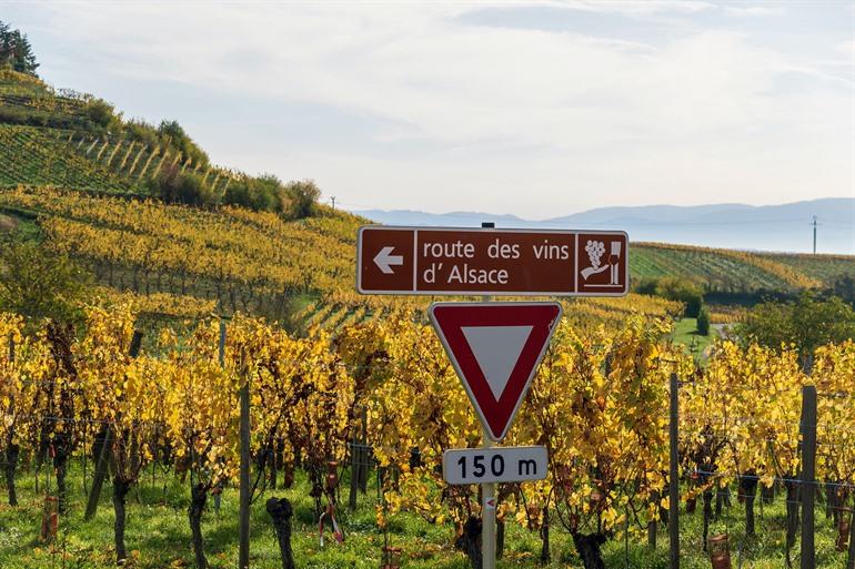 Elsässer Weinstraße, Elsass