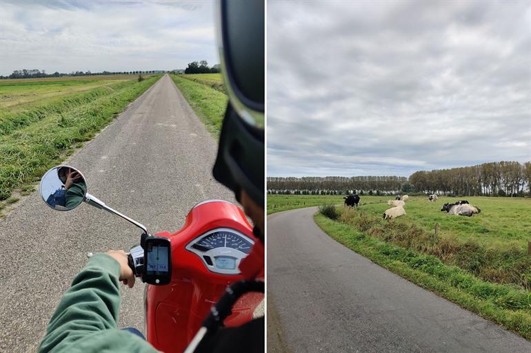 Vespa-Tour durch Brugge durch die flämische Polderregion