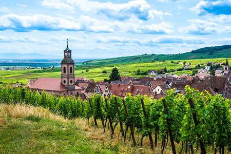 Weinroute, Riquewihr