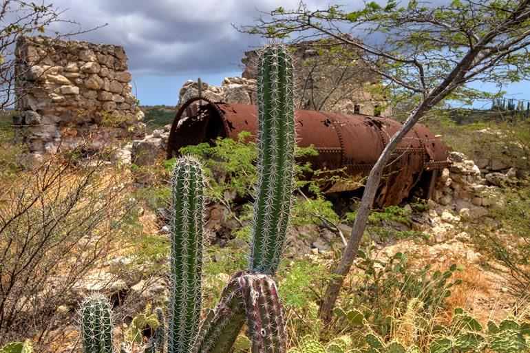 Ruinen der Goldmühlen Balashi, Aruba