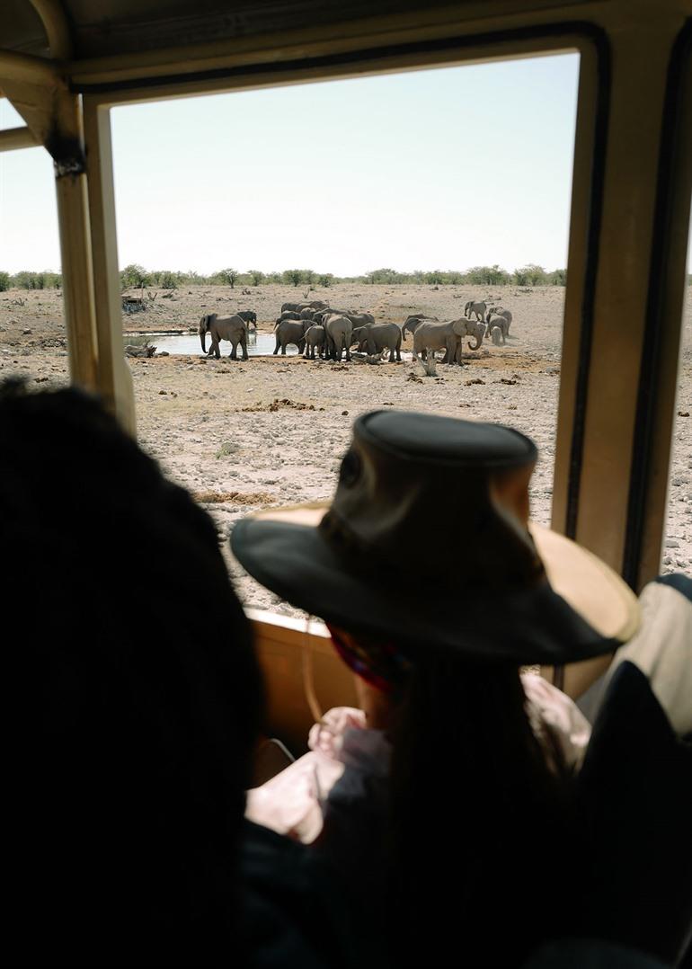 Safari im Etosha-Nationalpark