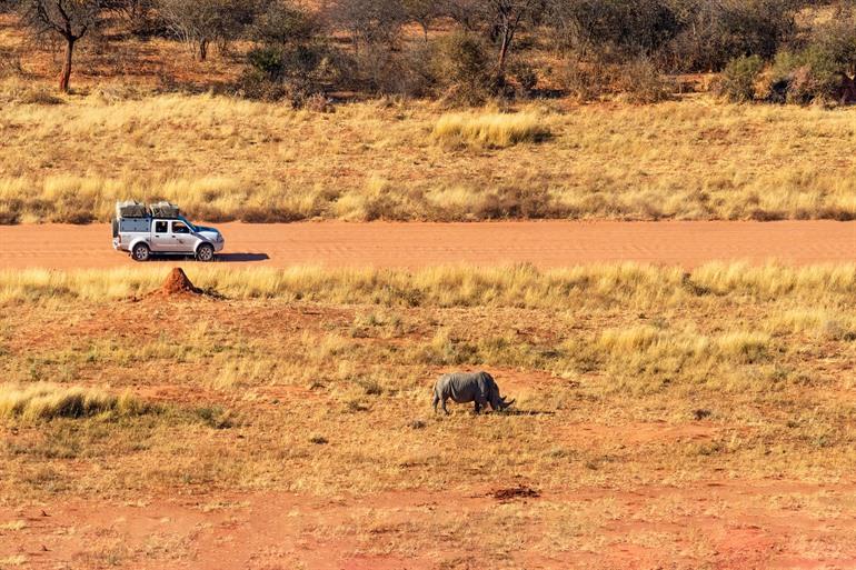 Safari im Waterberg-Plateau-Nationalpark