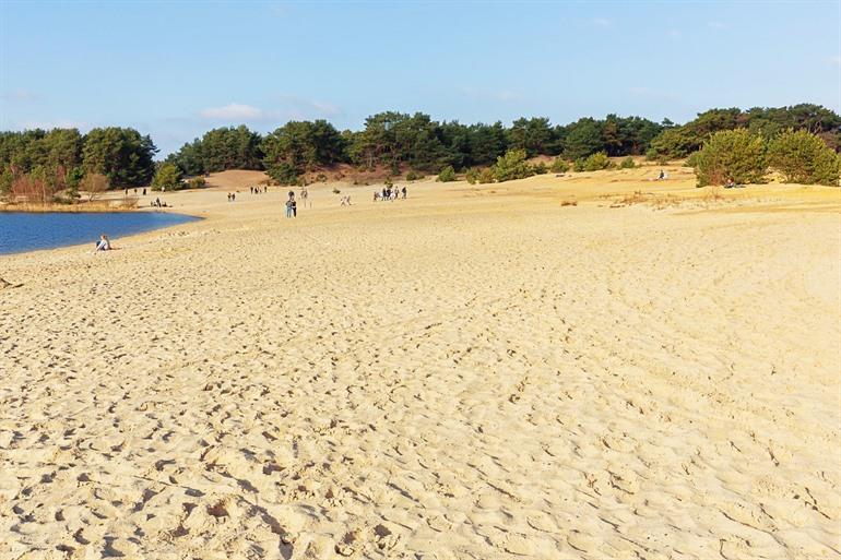 Sahara in Lommel, Limburgische Kempen