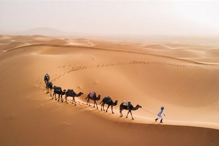 Sahara-Wüste Marrakech, Marokko