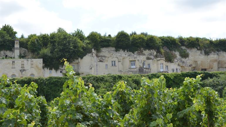 Höhlenwohnungen und Weingarten in Saumur