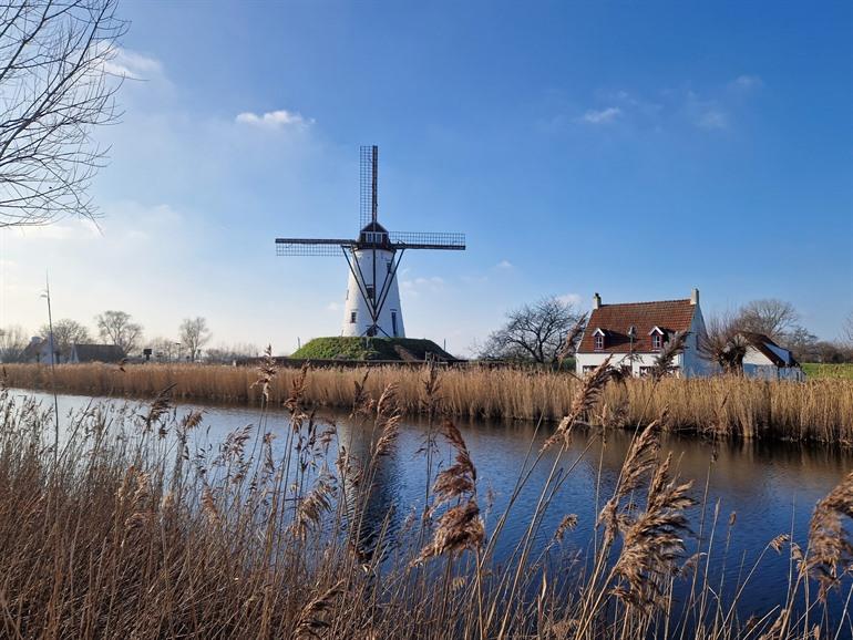 Schellemühle in Damme
