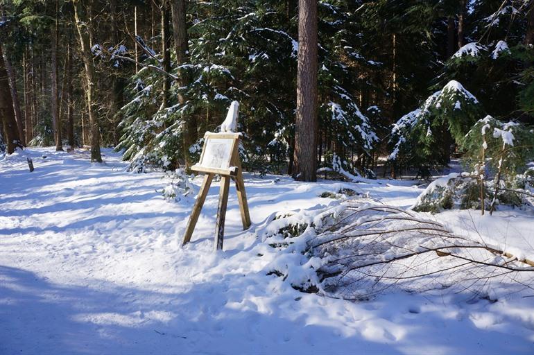 Schilderezellen auf der Andreas Schotel Wanderroute