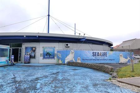 SEA LIFE Blankenberge besuchen 2026? Alle Infos, Tipps und Tickets