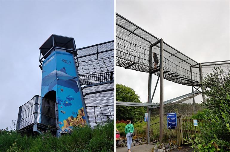 SEA LIFE mit Kindern besuchen