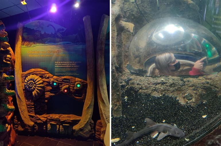 SEA LIFE mit Kindern besuchen