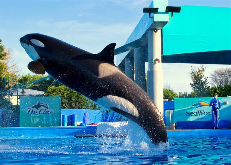 SeaWorld Park Resort-Komplex