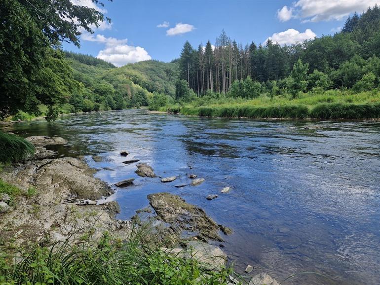 Semois in Rochehaut Leiterwanderung