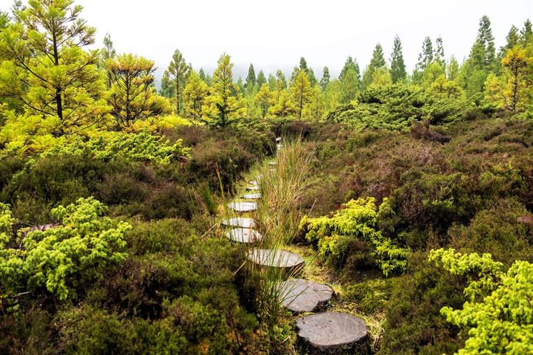 Santa Bárbara-Klippe, Terceira