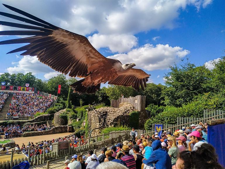 Show mit Geiern, Adlern und Falken im Puy du Fou erleben