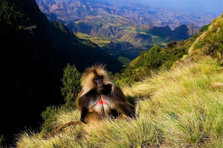 Simien-Gebirge