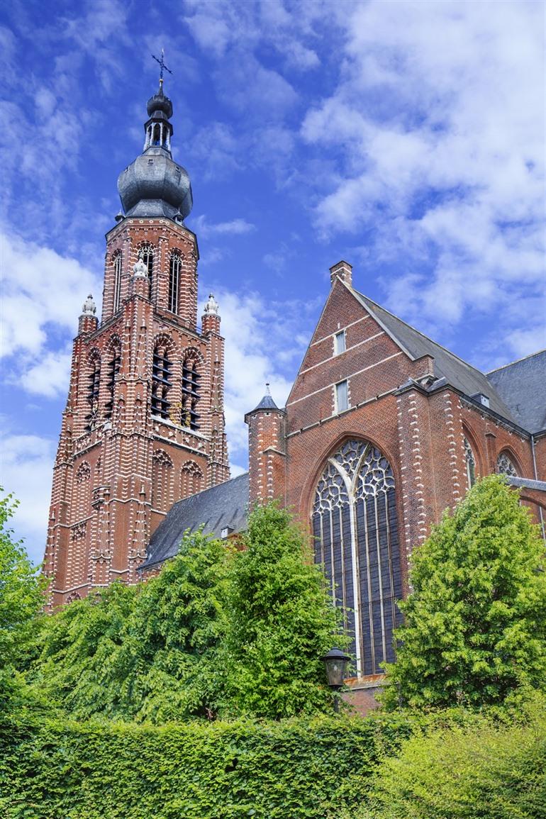 Sint-Catharinakerche in Hoogstraten, Antwerpse Kempen