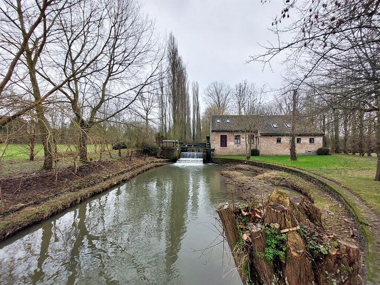 Sint-Waltrudismolen oder die Hernemolen in Herne, Pajotteland