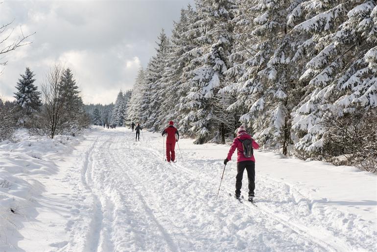 Skifahrer in den Hohen Venen, Ardennen