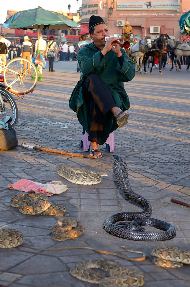 Schlangenbeschwörer auf dem Djemaa el Fna Platz in Marrakesch