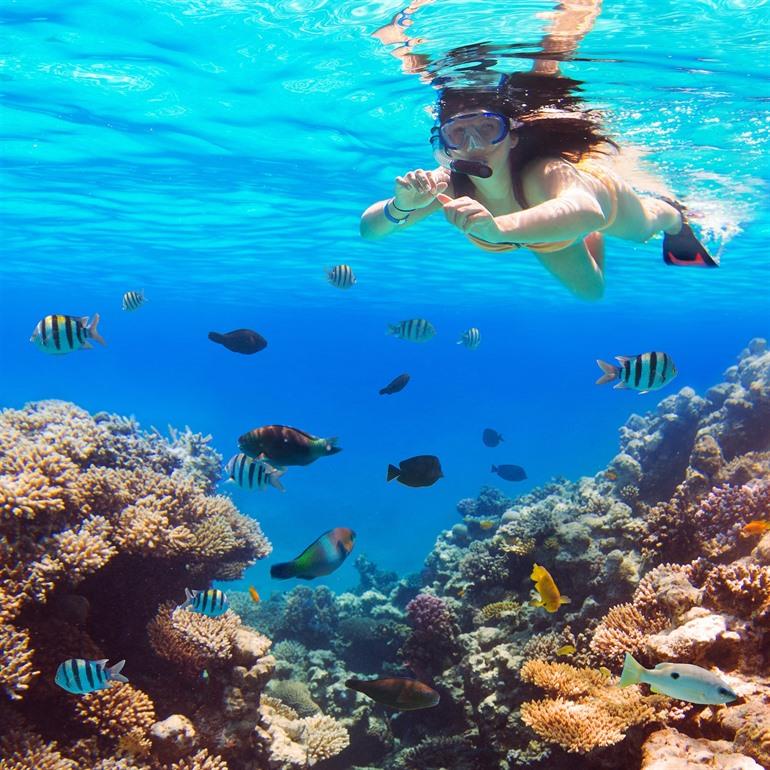 Schnorcheln in Hurghada, Ägypten