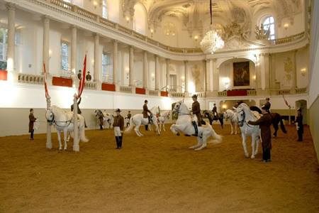 Spanische Fahrschule Wien