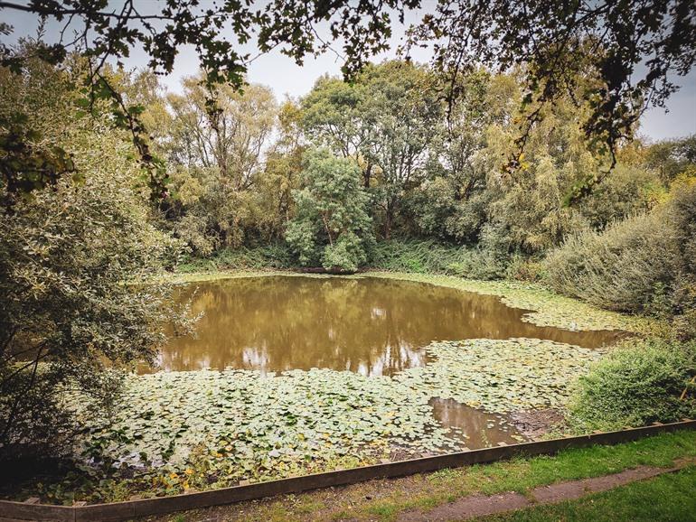 Krater der Spanbroekmolen in Heuvelland