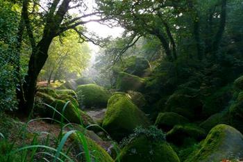 Besondere Felsen im Huelgoat-Wald in der Bretagne