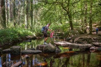 Besondere Felsen im Huelgoat-Wald in der Bretagne