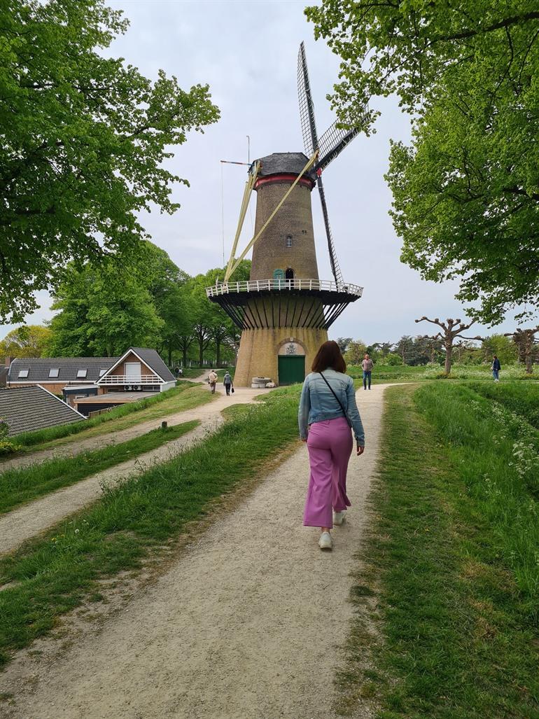 Stadsmühle in Hulst