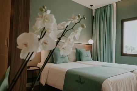 Stilvolles Zimmer im Catalina Plaza Hotel Sostenible buchen