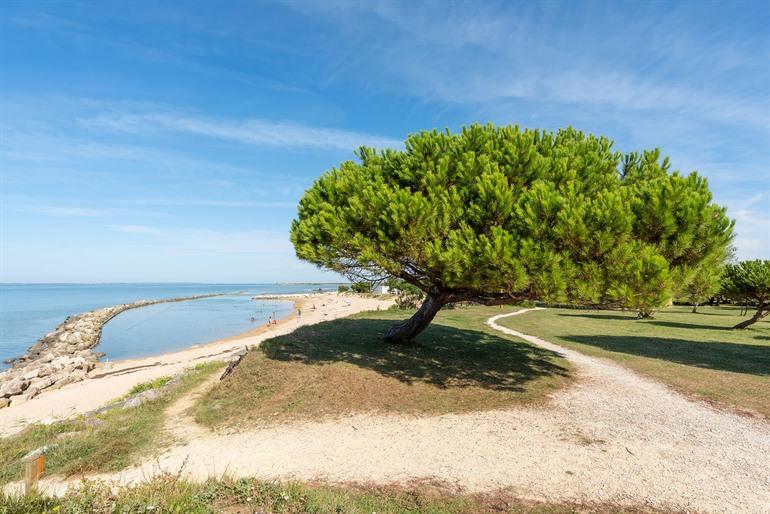 Strand bei Port des Barques, Charente-Maritime