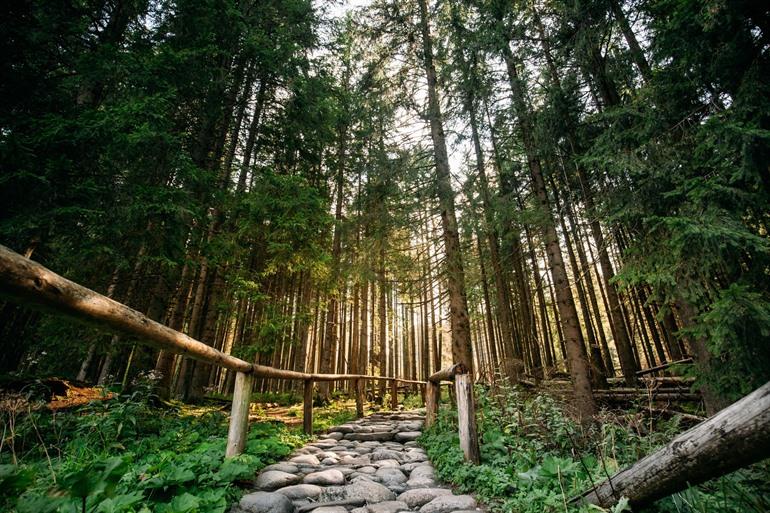 Tatra-Nationalpark