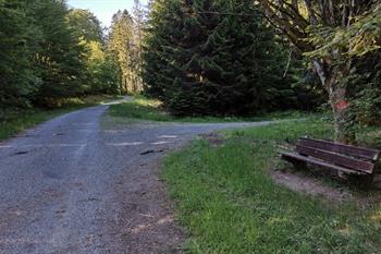 Ternell-Wanderung in den Ostkantonen