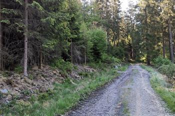 Ternell-Wanderung in den Ostkantonen